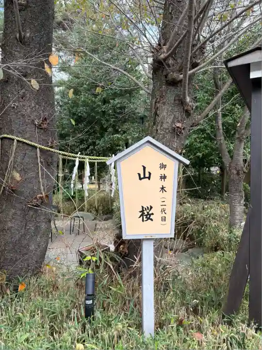 櫻木神社(千葉県)
