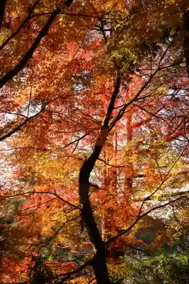 香取神宮(千葉県)