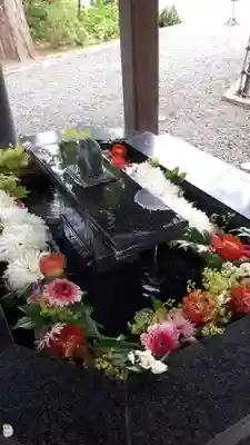 新琴似神社の手水舎