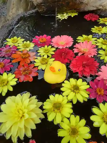 大鏑神社の手水