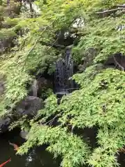 西新井大師総持寺の庭園