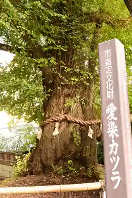 北向観音(長野県)