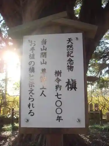 安養院　(田代寺）の歴史