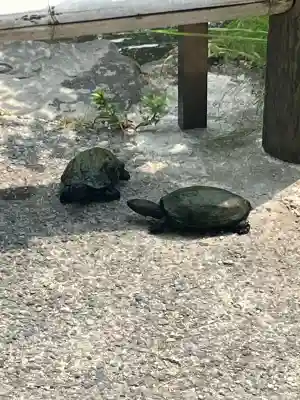 伊弉諾神宮(兵庫県)