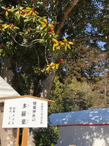 志波彦神社・鹽竈神社のその他建物