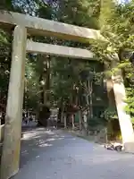 椿大神社の鳥居
