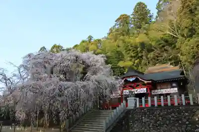 小川諏訪神社の本殿・本堂