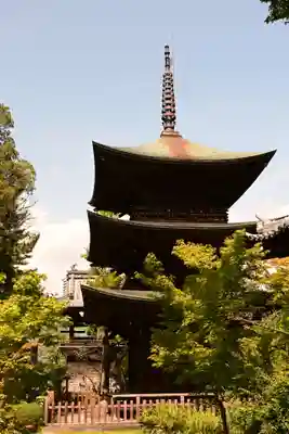 信濃國分寺(長野県)