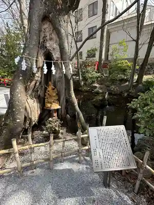 秩父今宮神社(埼玉県)