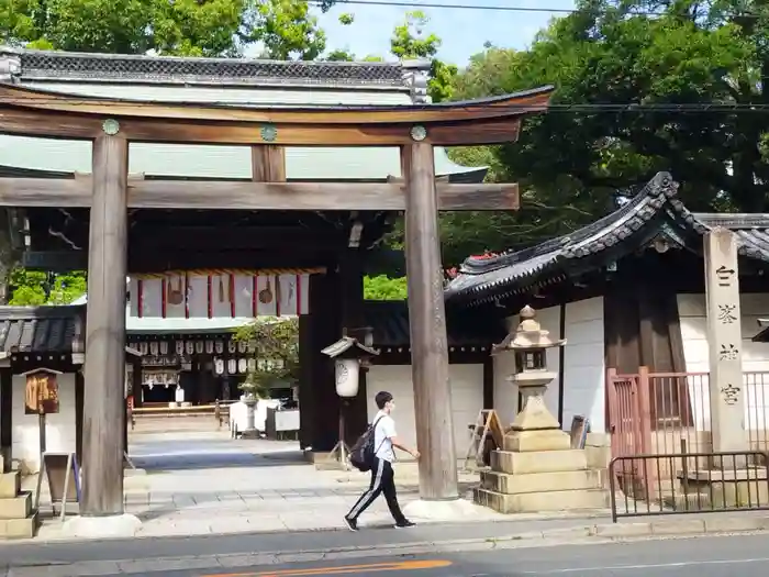 白峯神宮の鳥居