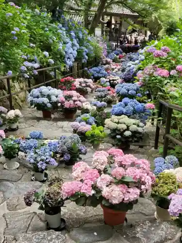 長谷寺(奈良県)