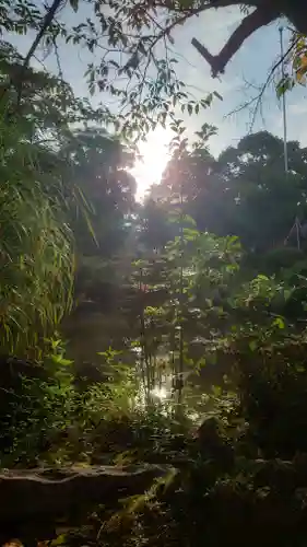 津島神社の自然