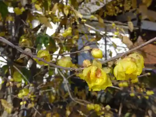 横浜　西方寺の自然