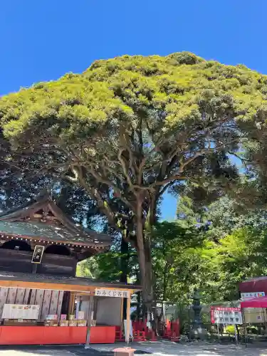 大前神社の{uncategorized: "未分類", other: "その他", undefined: "問題あり", building: "その他建物", grave: "お墓", sacred_gate: "鳥居", guardian: "狛犬", statue: "像", buddha: "仏像", history: "歴史", nature: "自然", garden: "庭園", animal: "動物", pagoda: "塔", temizu: "手水舎", mountain_gate: "山門・神門", sanctuary: "本殿・本堂", subordinate: "末社・摂社", art: "芸術", scenery: "景色", jizo: "地蔵", ema: "絵馬", goshuin: "御朱印", omikuji: "おみくじ", items: "授与品その他", amulet: "お守り", goshuincho: "御朱印帳", eats: "食事", festival: "お祭り", votive_dance: "神楽", shichigosan: "七五三参", wedding: "結婚式", experience: "体験その他", initially: "初詣", around: "周辺", anti_infection: "感染症対策"}