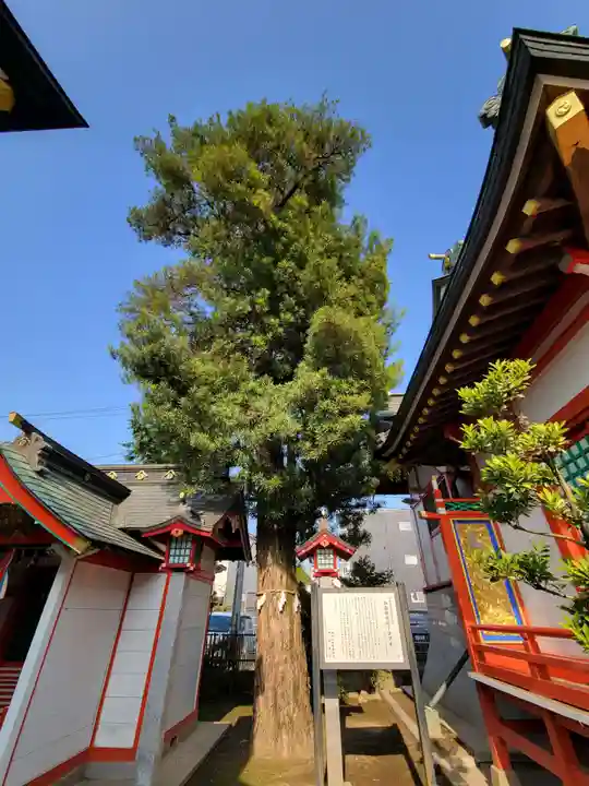 御嶽神社(埼玉県)