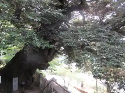 楽法寺（雨引観音）のその他建物