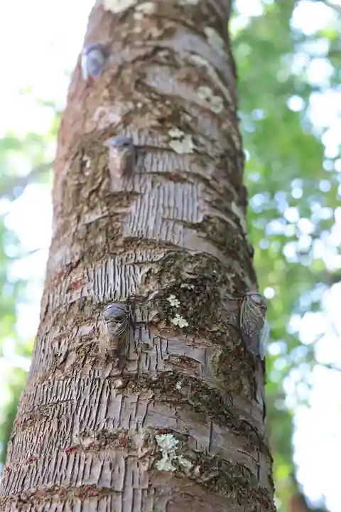 三津厳島神社(愛媛県)