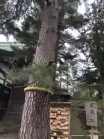 菟橋神社の自然
