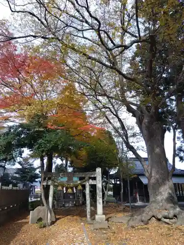 八幡神社(滋賀県)