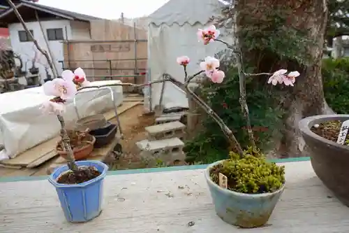 菅原天満宮（菅原神社）の自然