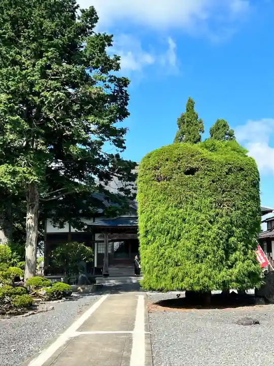 日祥山 綱正寺 置賜二十八番札所(山形県)