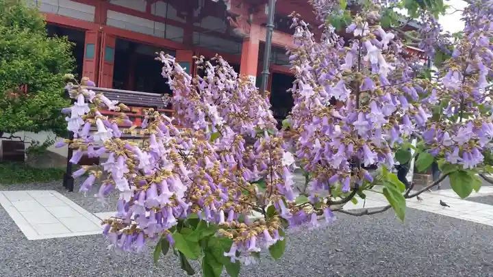 津観音(三重県)