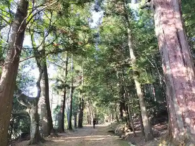 質美八幡宮(京都府)