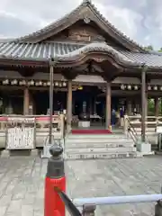 観音山慈眼院（高崎観音）の本殿