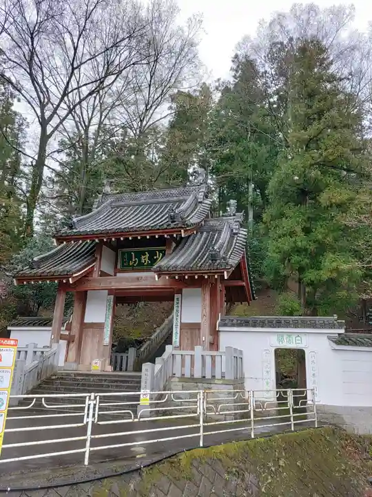 達磨寺(群馬県)