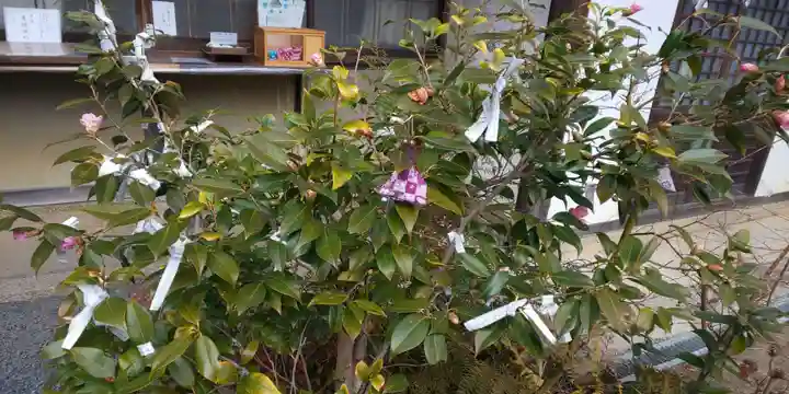月読神社(松尾大社摂社)(京都府)