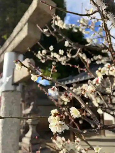 天満宮(京都府)