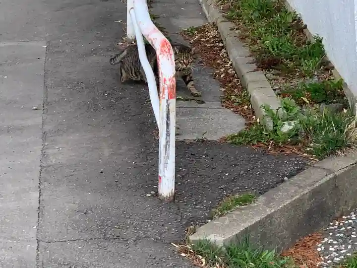 函館護國神社の動物