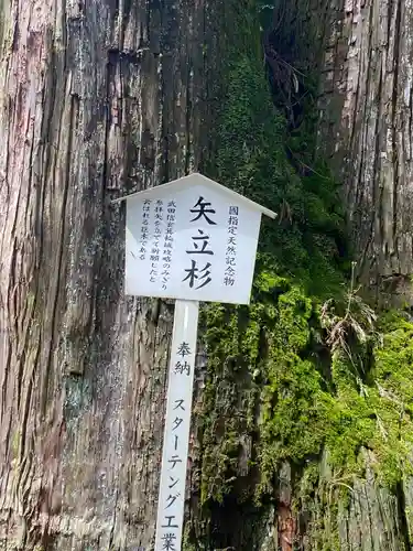 榛名神社の自然