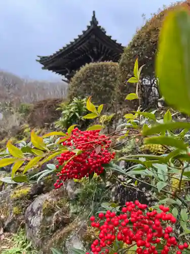陽林寺(福島県)
