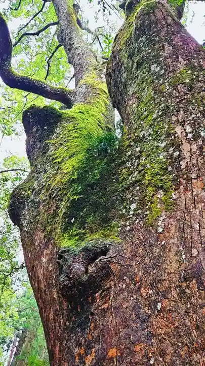 伊勢神宮内宮(皇大神宮)(三重県)