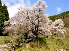 仏隆寺(奈良県)