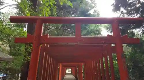 手力雄神社の鳥居