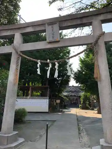 若宮八幡宮 の鳥居