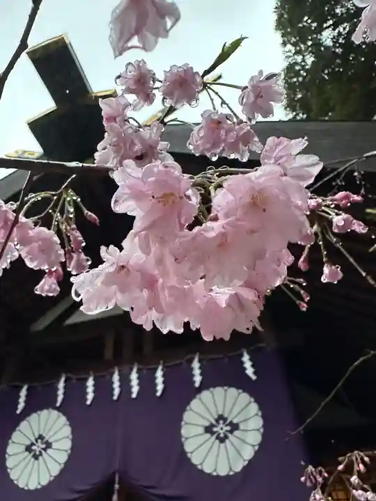 東京大神宮(東京都)