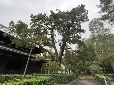 大徳寺(京都府)
