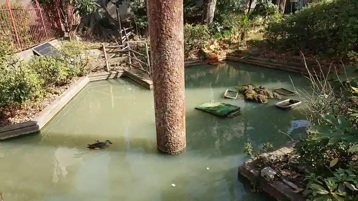 厳島神社の動物