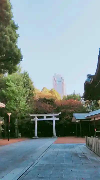 熊野神社の鳥居