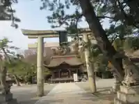 長浜八幡宮(滋賀県)