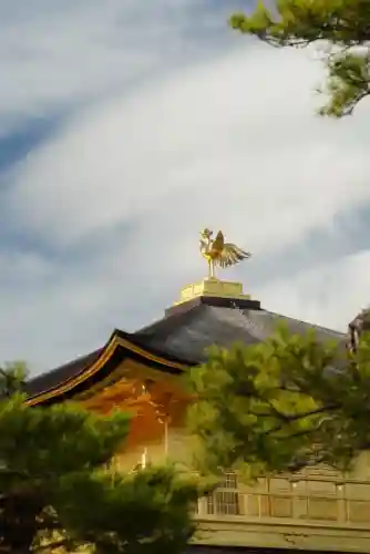 鹿苑寺（金閣寺）(京都府)