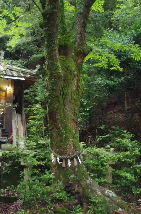 吉川八幡神社(大阪府)