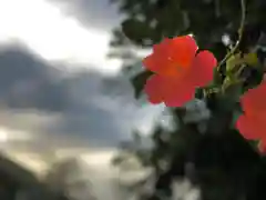 白鳥神社(長野県)