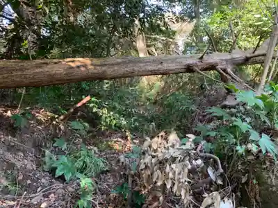 八坂神社(千葉県)