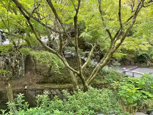 東福禅寺（東福寺）(京都府)