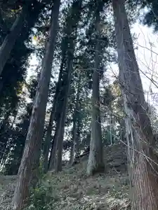 大宮温泉神社(栃木県)(2023年02月27日(月) 11時09分21秒投稿)