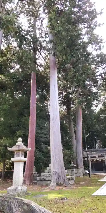 樹下神社(滋賀県)